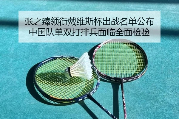 张之臻领衔戴维斯杯出战名单公布 中国队单双打排兵面临全面检验